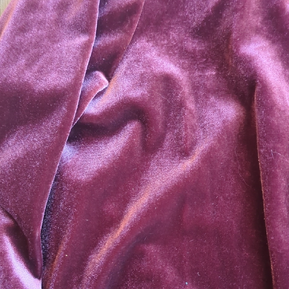 Express Burgundy Velvet Bodysuit - Picture 4 of 4